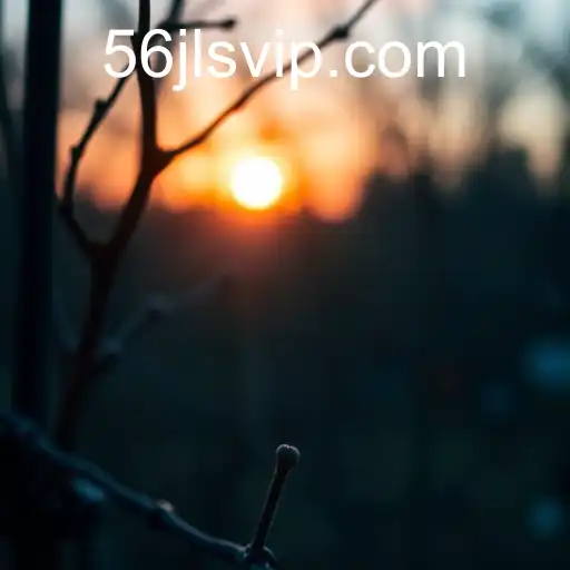 Privacy Policy Insights: Understanding '56 jl'